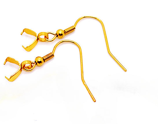 20pcs Crochets de Boucle D'Oreille Chirurgicaux Acier Inoxydable