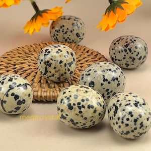 Natural Dalmation Jasper Tumbles Stones Crystal Tumbles Healing Crystal