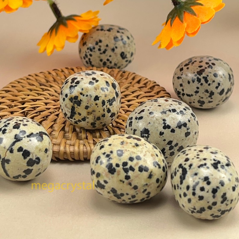 Natural Dalmation Jasper Tumbles Stones Crystal Tumbles Healing Crystal