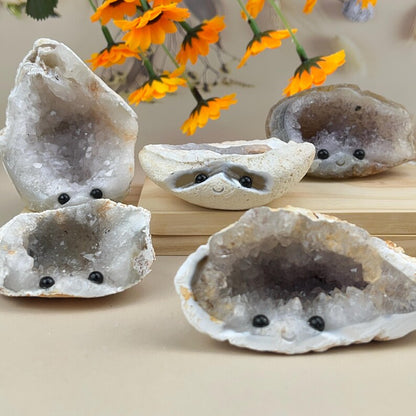 Natural Druzy Geode Buddies Hedgehogs Healing Crystal Geode With Face